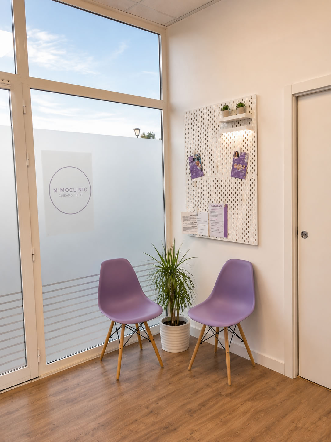 Recepción de Mimoclinic